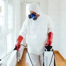 Pest Control Services Meerut | +91 93157 22253