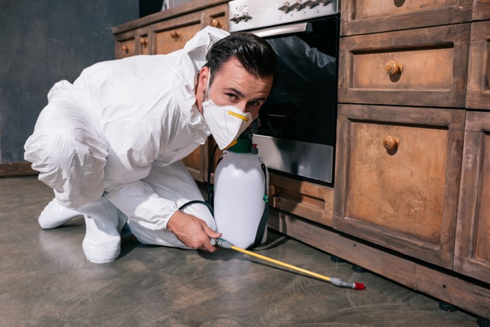 Pest Control Services Meerut | +91 93157 22253